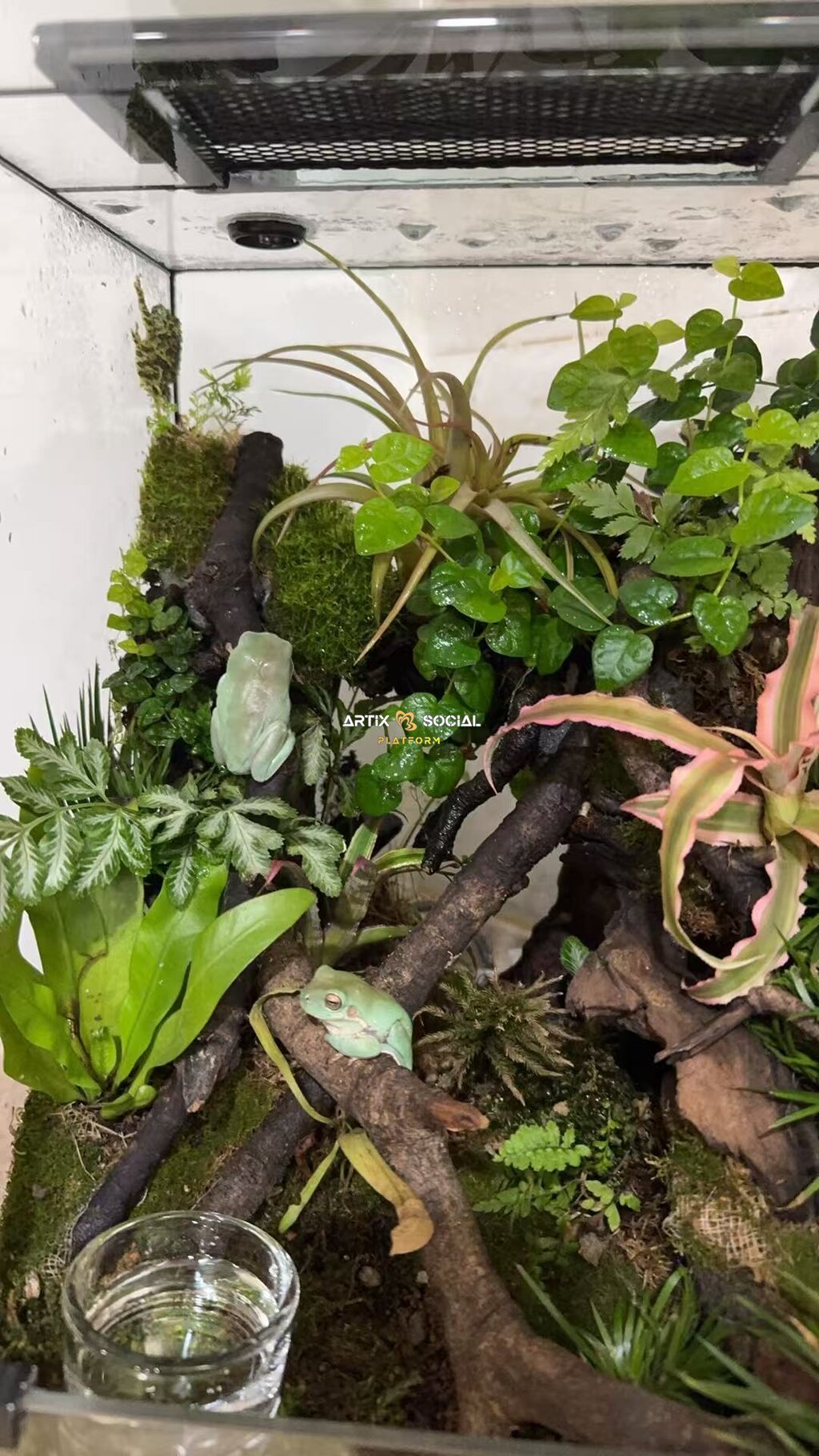 八崎的作品